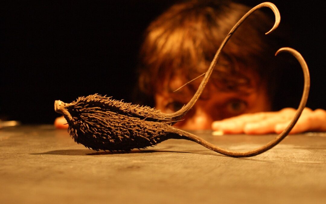 ZazagranaCompagnie MUNGO